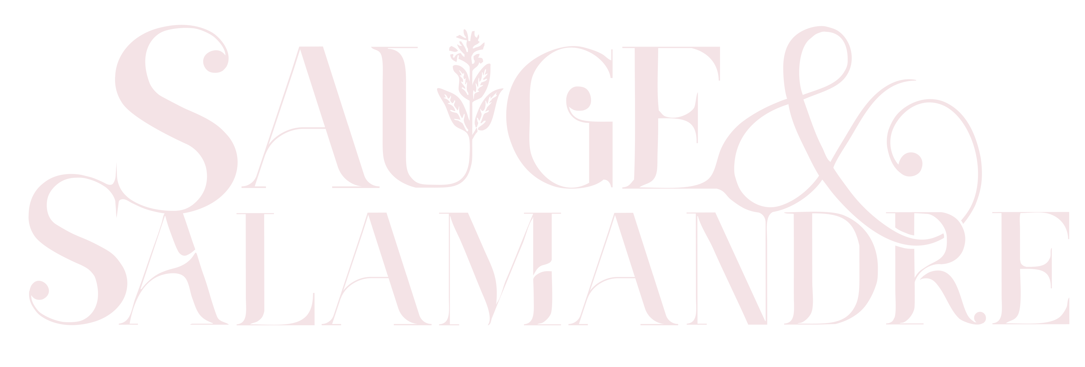 SAUGE & SALAMANDRE ROSE PALE logo graphiste webdesign typographie julia brunie